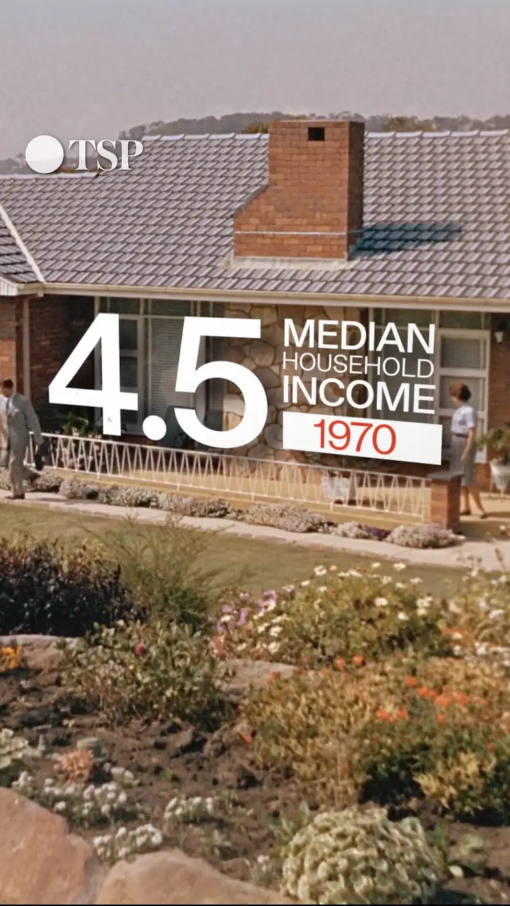 The Saturday Paper, Explainer Series
